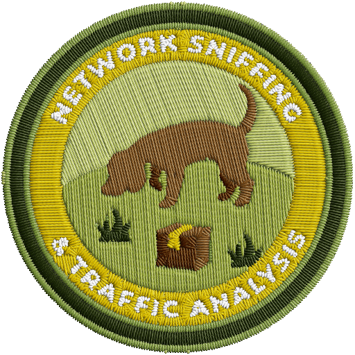 Network Sniffing and Traffic Analysis